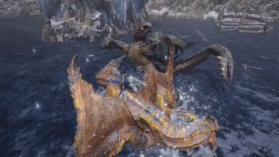 Wyvern Riding 03