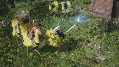 Riding Chocobos