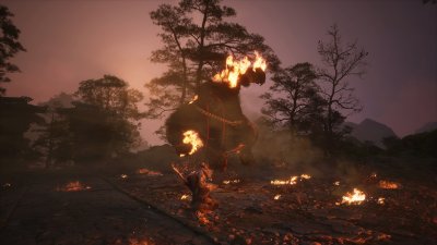 Black Myth: Wukong 9