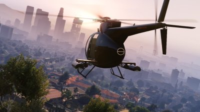 Buzzard zooms over rockford hills