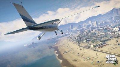 Dodo flies down the beach