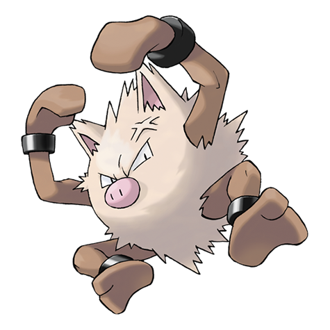 Pok&eacute;mon image