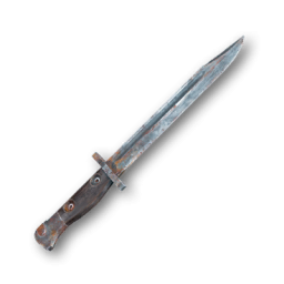 Item icon