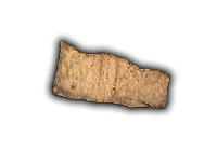 Item icon