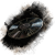 "Lune" icon