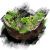 "Shape of Life" icon