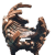 "Chromatic P&eacute;tank" icon