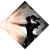 "Perc&eacute;e" icon