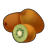 "Wild Kiwi" icon