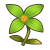 "Calmaryllis" icon