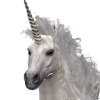 ui_t_unicorn__m_uniquevariation1-ceeb07f7.png