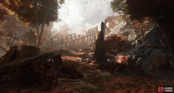 t_ui_level_sidelevel_orangeforest-d50ac6cb.png