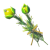 "Hyrule Herb" icon