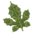 "Korok Frond" icon