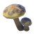 "Toasty Skyshroom" icon