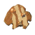 "Boko Shield" icon