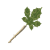 "Korok-Frond Guster" icon