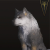 How to Unlock the A Fine Hound Trophy in FF16