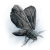 "Vestige Moth" icon