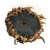 "Remembrance of Judge Cleric the Radiant Sentinel" icon