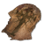 "Flayed Skin" icon
