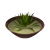 "Aloe Soup" icon