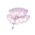 "New Dawn" icon