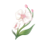 "Sunny Orchid" icon