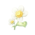 "Daisy" icon