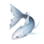 "Tulletail" icon
