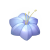"Glimmergrass" icon
