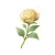 "Aurosa in Bloom" icon