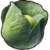 "Cabbage" icon