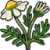 "Chamomile" icon