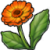 "Marigold" icon