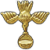 "Water of Life" icon