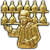 "Enthusiast" icon