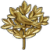 "Wonders of Nature" icon
