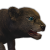 "Lion Cub" icon