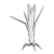 "Mandrake" icon