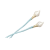 "Timeless Charm" icon