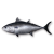 "Bluefin Tuna" icon