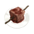 "Sandora Dragon Steak Tips" icon