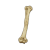 "Beast Bone" icon