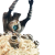 "Potier" icon