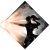 "Perc&eacute;e" icon