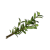 "Laurel" icon