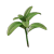 "Sage" icon