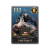 "029 Hell Rider II" icon