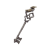 "Cliffside Key" icon
